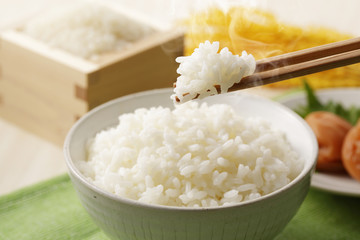 炊きたてのご飯　Japanese rice
