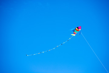 colored kite held by the wire