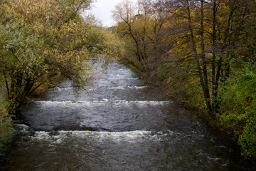 Dreisam bei Freiburg