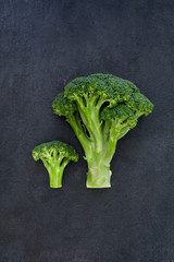 Two green broccoli on dark gray slate background