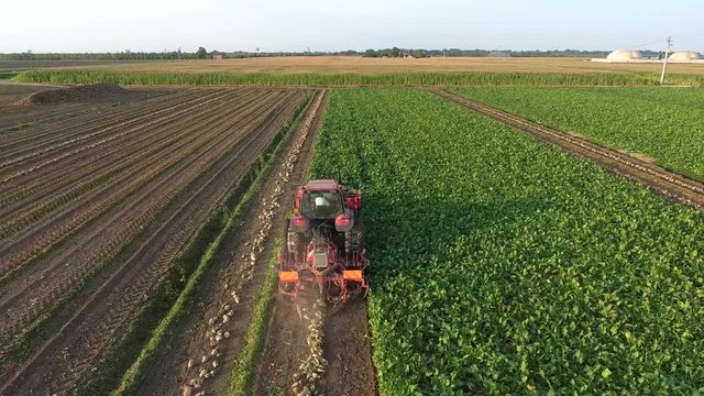 Top view of the tractor in the field of sugar beet
