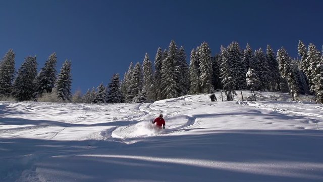 Tiefschneefahren slomo