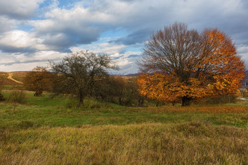 Autumn mountains and colorful forest 