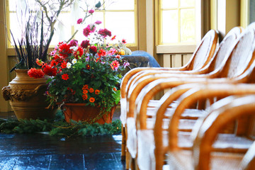 A chair and flower of the room