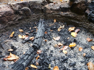 empty abandoned camp fireplace with fallen leaves