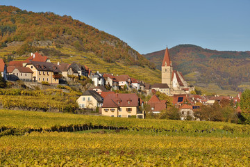Town Weissenkirchen in the vineyards of Wachau in fall. Famous UNESCO cultural landscape known for its wine.
