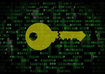 It is a symbol of a wrong digital key. This is a computer security theme.