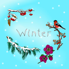 Winter card with bullfinch