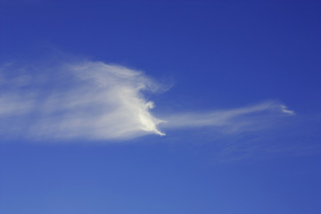 Fototapeta na wymiar Nuage en filage de traîne sur ciel bleu