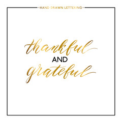 Thankful and grateful gold lettering isolated on white background, hand painted letter, golden vector thanksgiving text for greeting card, poster, banner, print, handwritten calligraphy