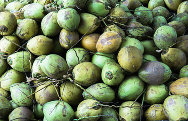 Heap of young green coconut ready for sell as coconut juice