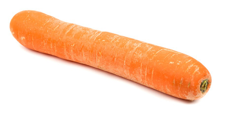 fresh long carrot on white background