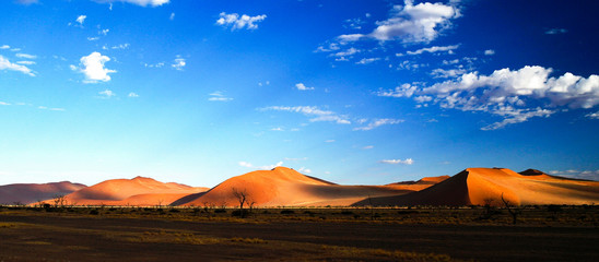 Fototapeta na wymiar Deep shadows on Sossusvlei dunes at sunrise in Namib desert, Namibia