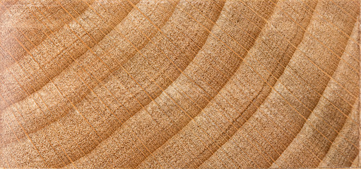 Fototapeta na wymiar Texture of wood background closeup.
