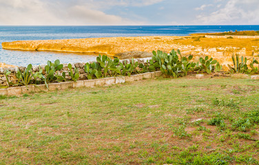 rocky coastal shore of Puglia