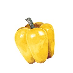 Pepper watercolor 3. Hand drawn illustration
