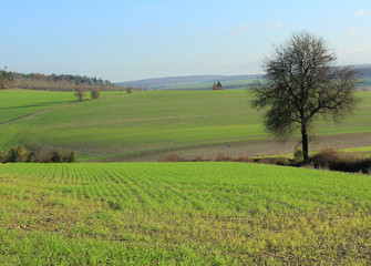 belle campagne