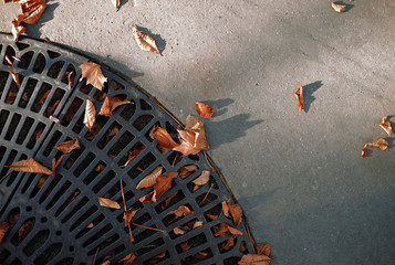feuilles d'automne sur un trottoir - 125802957