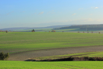 Matin sur la campagne