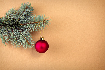 Red Christmas ball on green spruce branch isolated .