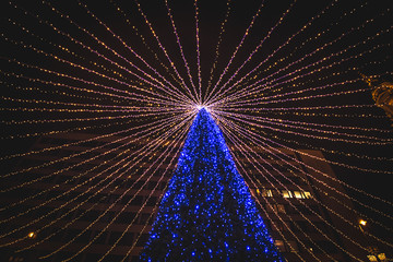 Outdoor Illuminated Christmas Tree With Blue Lights