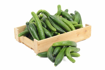 Gurken in einer Kiste