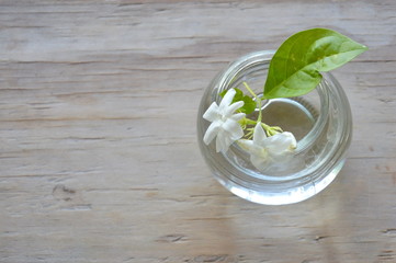 white jasmine on water in glass bottle