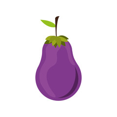 purple eggplant vegetable icon. healthy food design. vector illustration