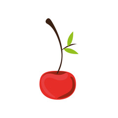red cherry fruit icon. healthy food design. vector illustration