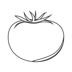 silhouette of tomato vegetable icon. healthy food design. vector illustration