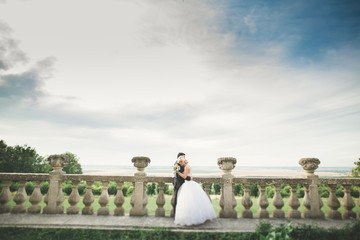 Beautiful romantic wedding couple of newlyweds hugging near old castle