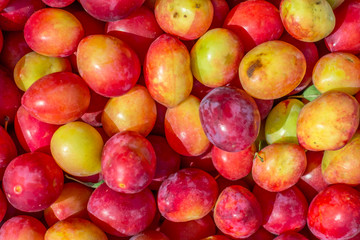 Mirabelle fruits as background - close up view