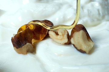 Υogurt,walnuts and honey.