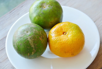 tangerine ripen and unripe on dish