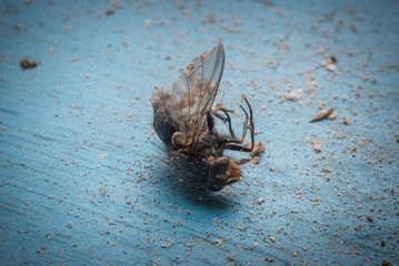 DOA (Dead on arrival)