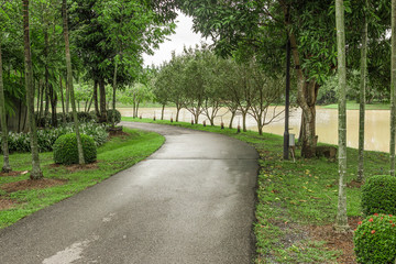 Park pathway