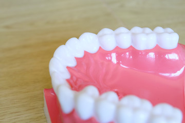 Model teeth whitening. Dental care.