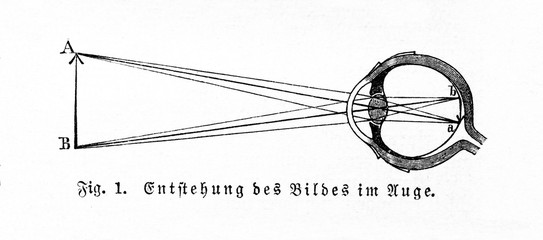 Image formation in eye (from Meyers Lexikon, 1895, 7/461)
