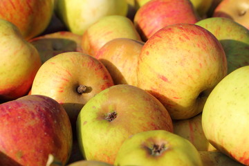 Tas de pomme
