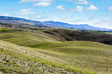 Fototapeta premium Landscape in Tuscany