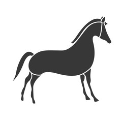 silhouette of little horse kid toy icon over white background. vector illustration