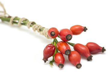 Rose hip isolated on a white background. 
