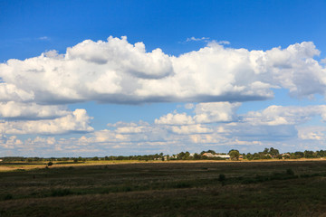 Beautiful yellow field and clouds sky