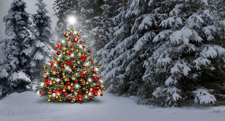 Weihnachtsbaum im Wald