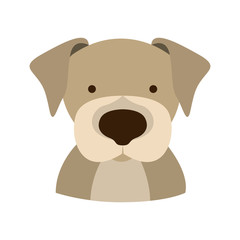 dog face animal cartoon icon over white background. colorful design. vector illustration