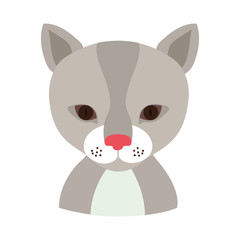 cat face animal cartoon icon over white background. colorful design. vector illustration
