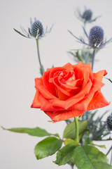 Colorful flowers bouquet