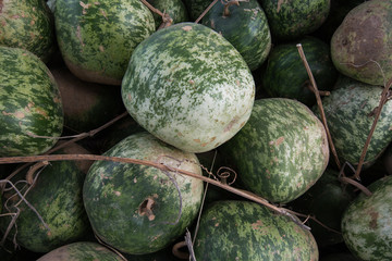 Gourds
