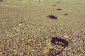 Footprints in the sand at sunset
