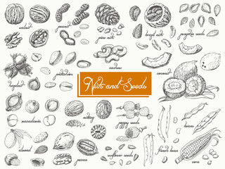Big collection of isolated nuts and seeds on white background